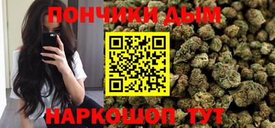 прущие грибы Будённовск