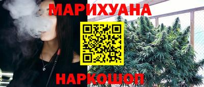 прущие грибы Будённовск