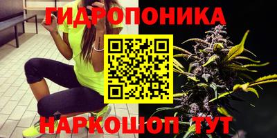 прущие грибы Будённовск