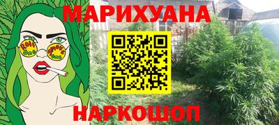 прущие грибы Будённовск