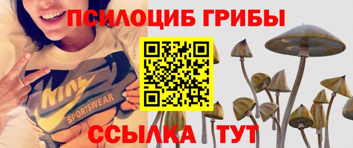 Псилоцибиновые грибы мухоморы  Псилоцибиновые грибы Magic Shrooms  Джанкой  Вход с VPN 