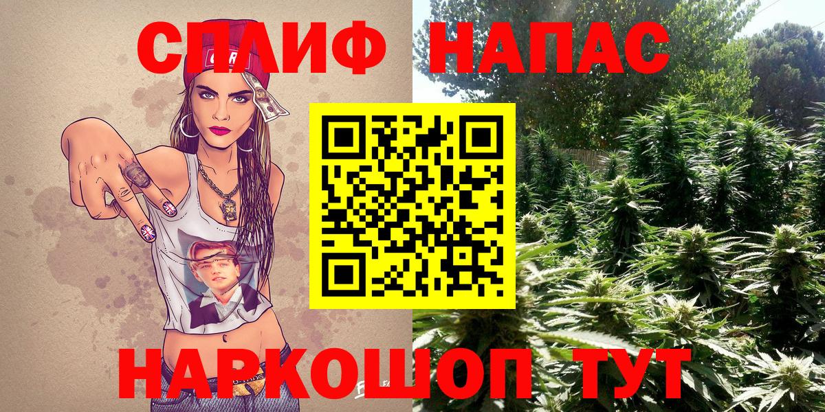 Бошки Шишки AK-47  Конопля MAZAR  Джанкой  Конопля White Widow  Вход с VPN 